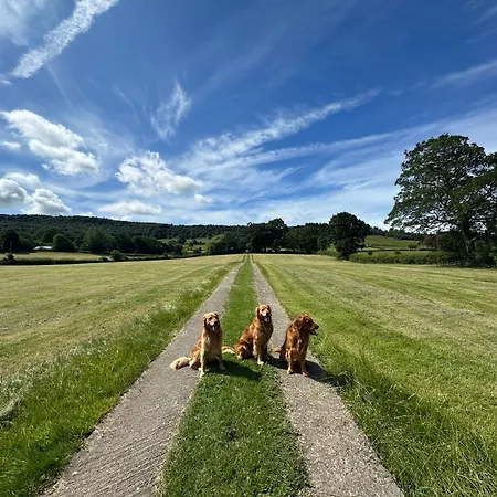 度假居 Cliffe House *