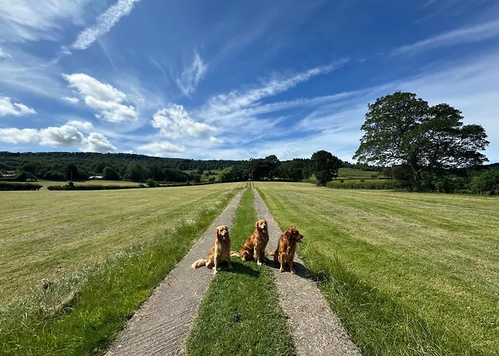 펜션 Cliffe House *